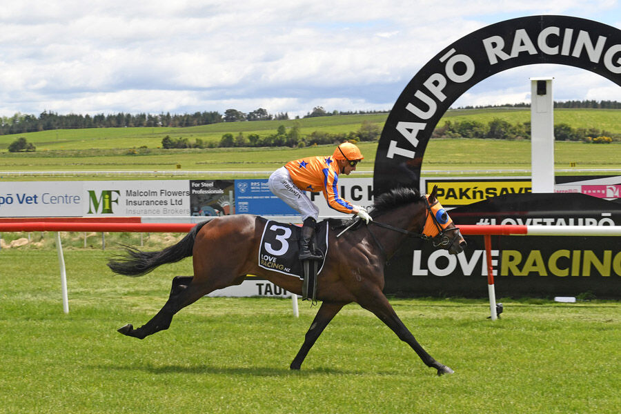Te Akau Trans-Tasman Friday Preview