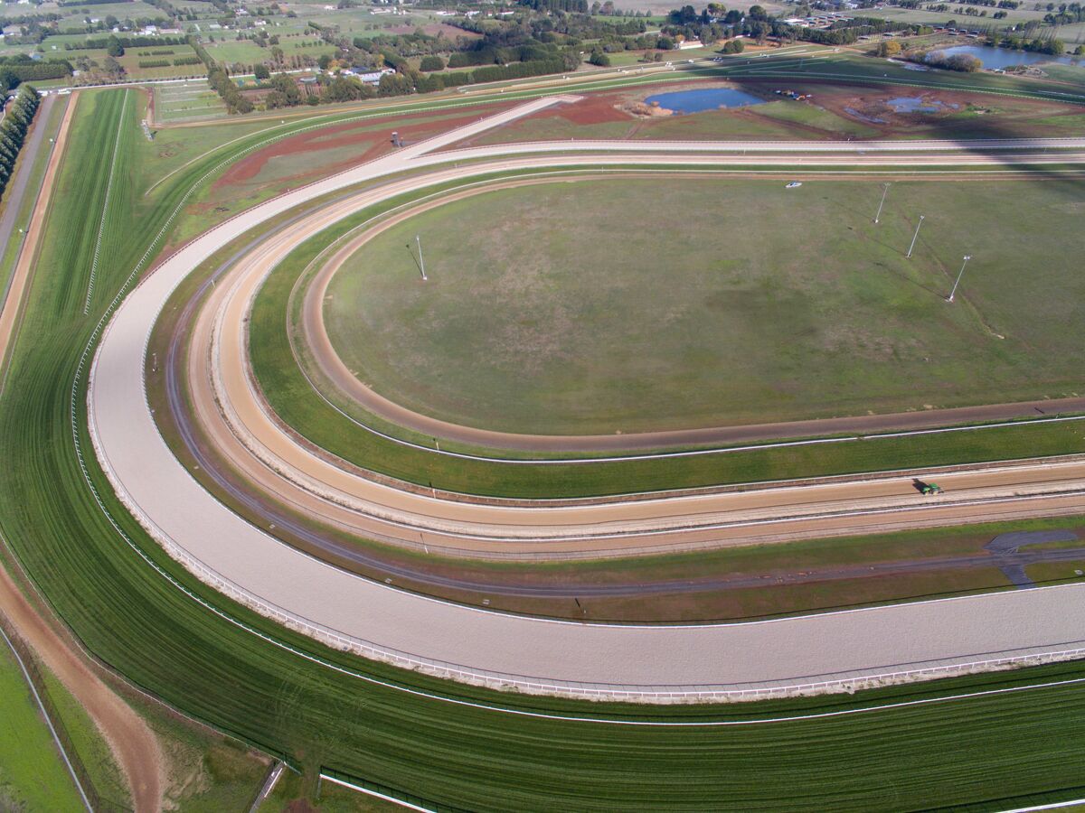 Te Akau Ballarat Friday Preview