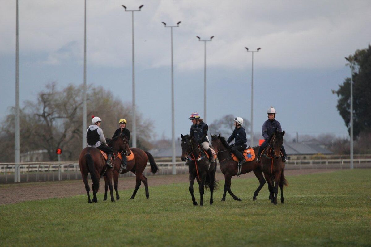 Matamata Tuesday Trackwork