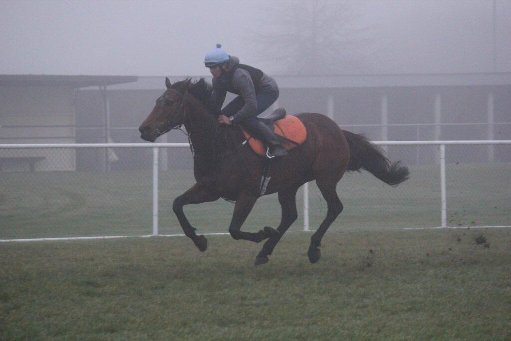 Te Akau NZ Tuesday Trackwork