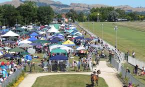Te Akau NZ Hastings Preview