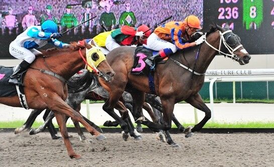 Singapore Treble