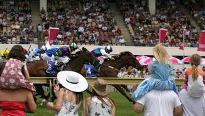 Te Akau Boxing Day Preview