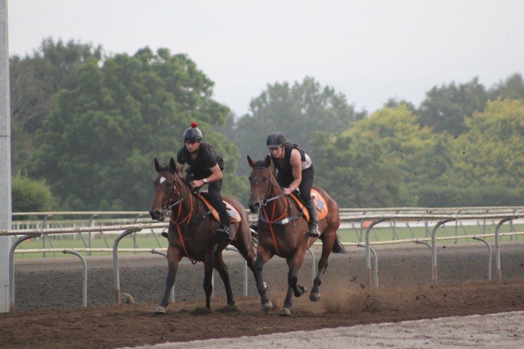 Te Akau Saturday Trackwork