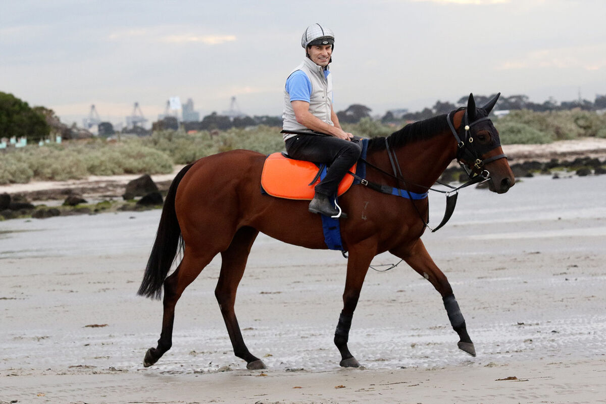 NZ Darling of Turf to Tackle Grp 1 Mackinnon