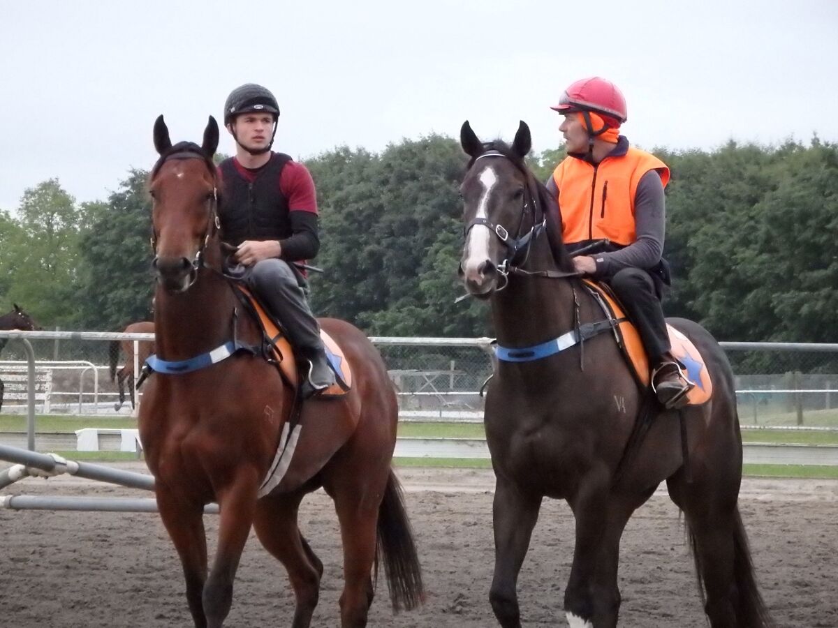 Te Akau Thursday Trackwork