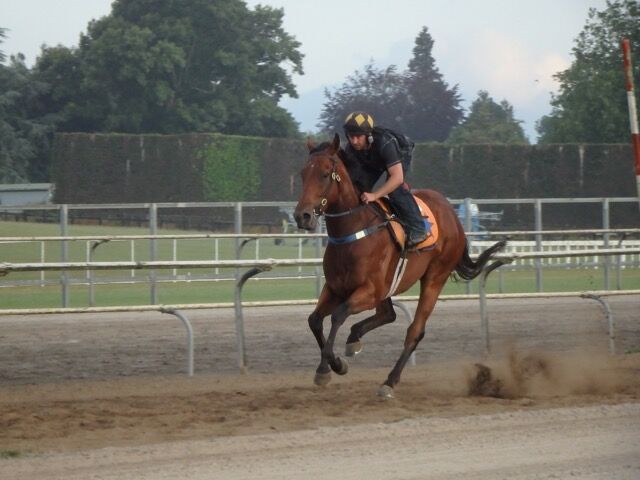 Te Akau New Year's Eve Trackwork