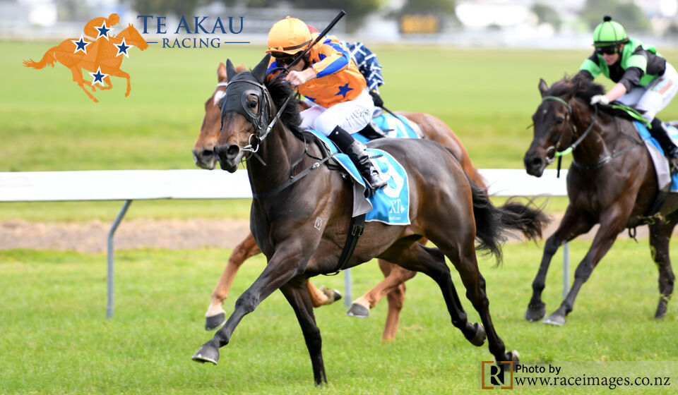 Boom - Beaumarchais Bolts In