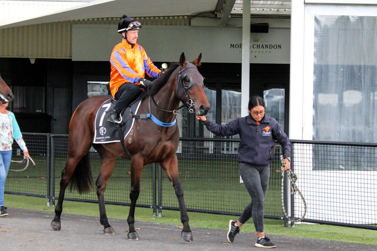 Te Akau Ellerslie Trials' Report