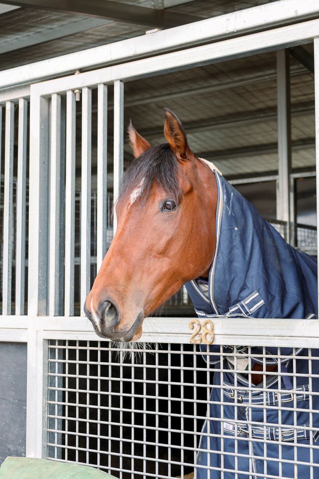 Te Akau Caulfield Saturday Preview