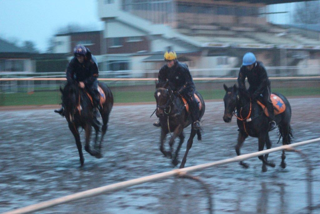 Matamata Tuesday Trackwork