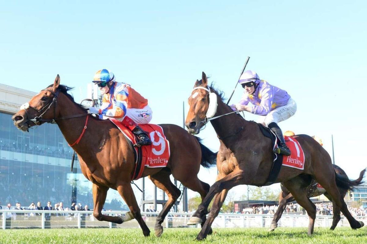 Te Akau Season of Success - Brilliant Sprinting Treble