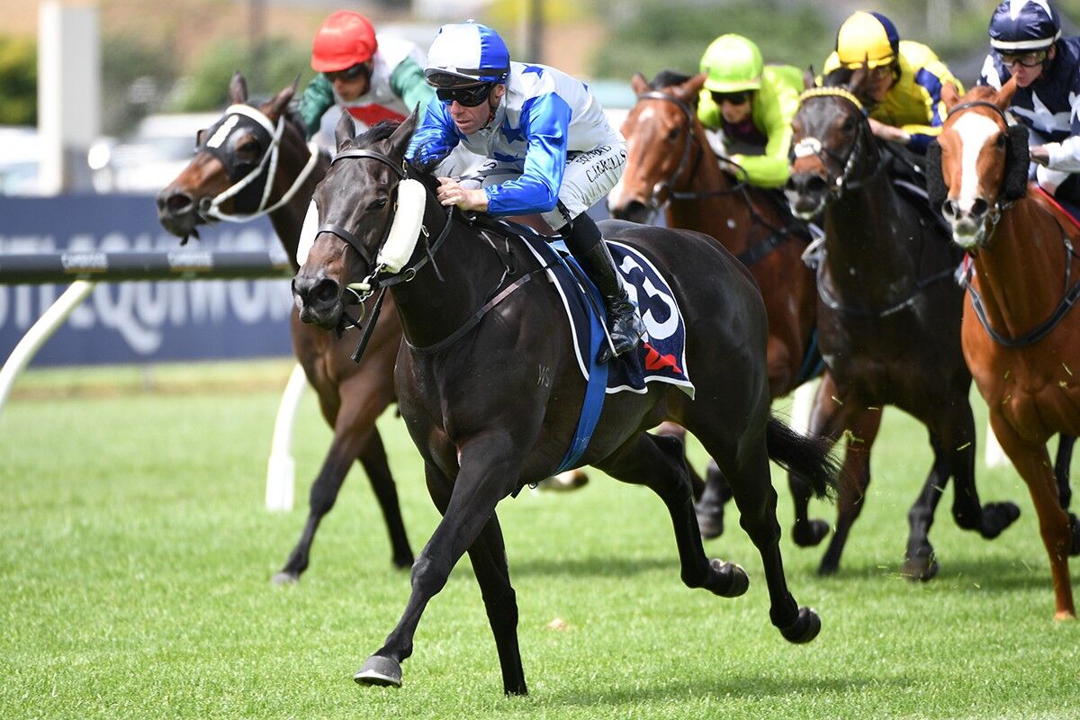 6 Win Saturday - Belle the Beautiful