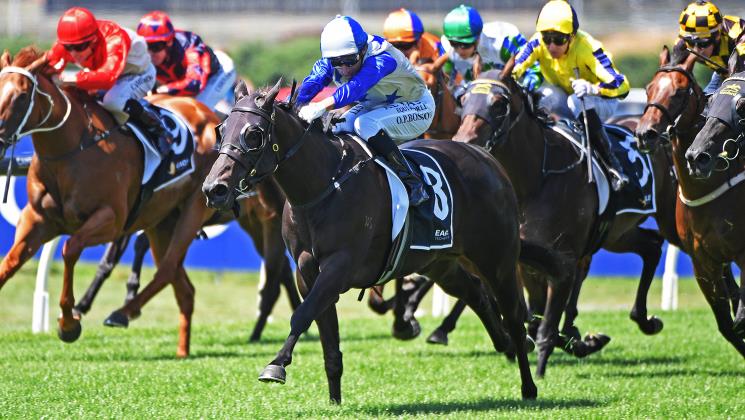Archer's NZB Kiwi Optimism Unbending