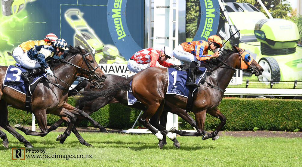 Our Belle is a Group 3 Beauty