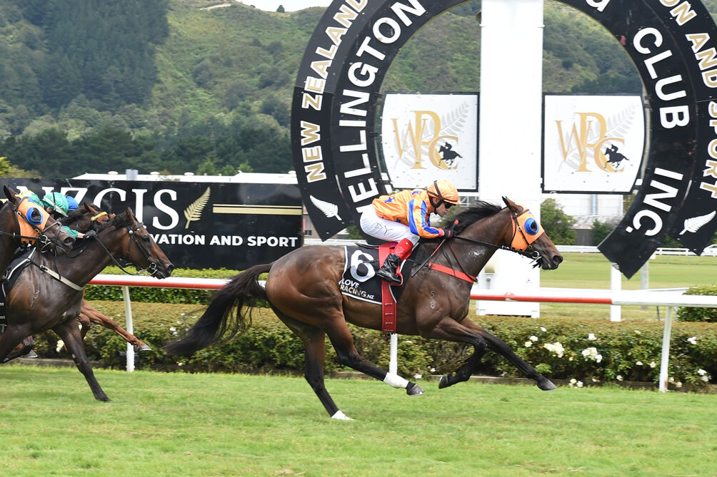 Te Akau Tauherenikau Monday Preview
