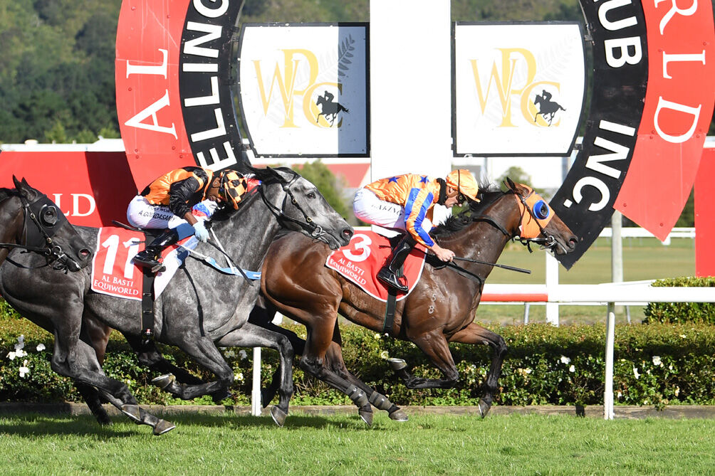 Belle En Rouge - Group 1 Glory & Joint Filly of the Year