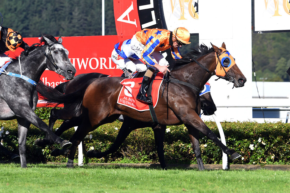 Breeding Success Brings Further Success for Ellis
