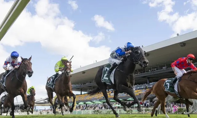 Te Akau Trans Tasman Saturday Preview