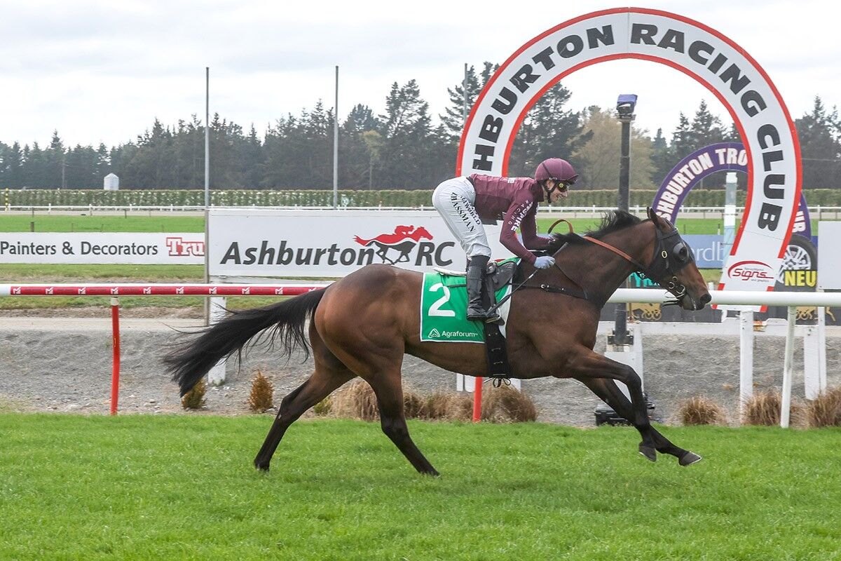 7 WINS - 48 HOURS: Bellish Boy Bombs Them