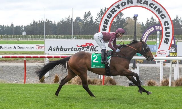 6 WINS - 24 HOURS: Bellish Boy Bombs Them