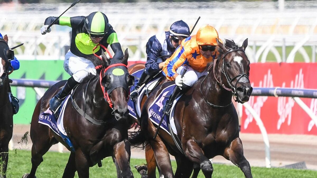 Stars Fight for Champion Status