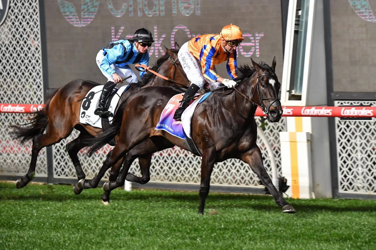 Imperatriz Explosive in Grp 1 Moir - Breaks Own Track Record