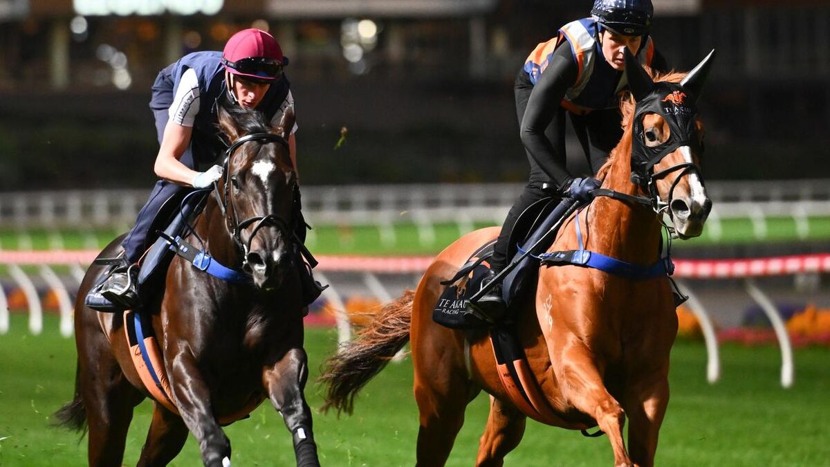 Imperatriz Ready to Return