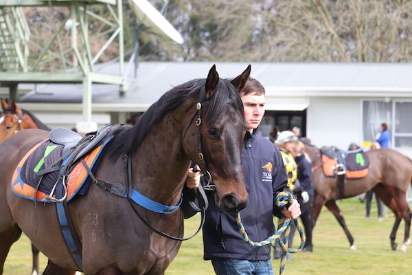 Te Akau Te Teko Thursday Trials