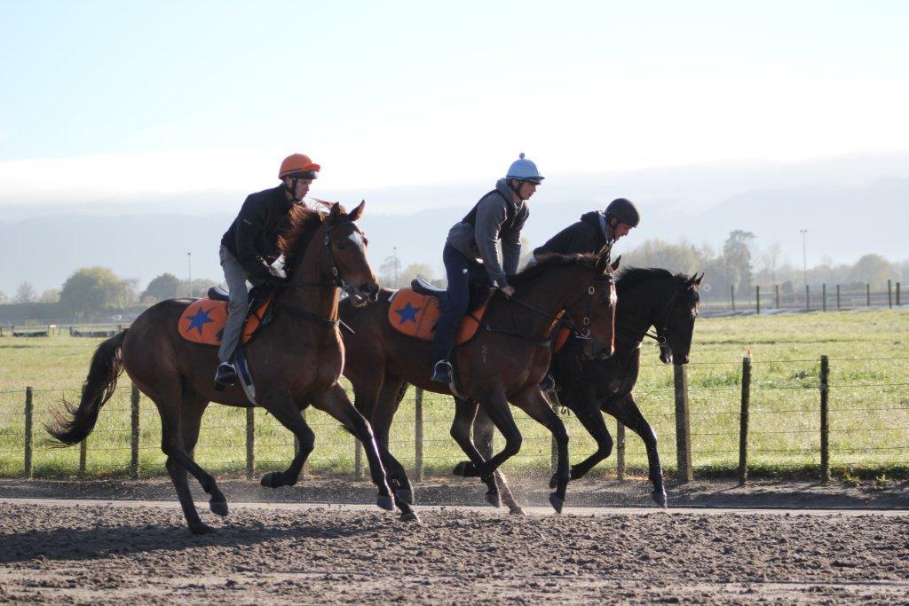Matamata Tuesday Trackwork
