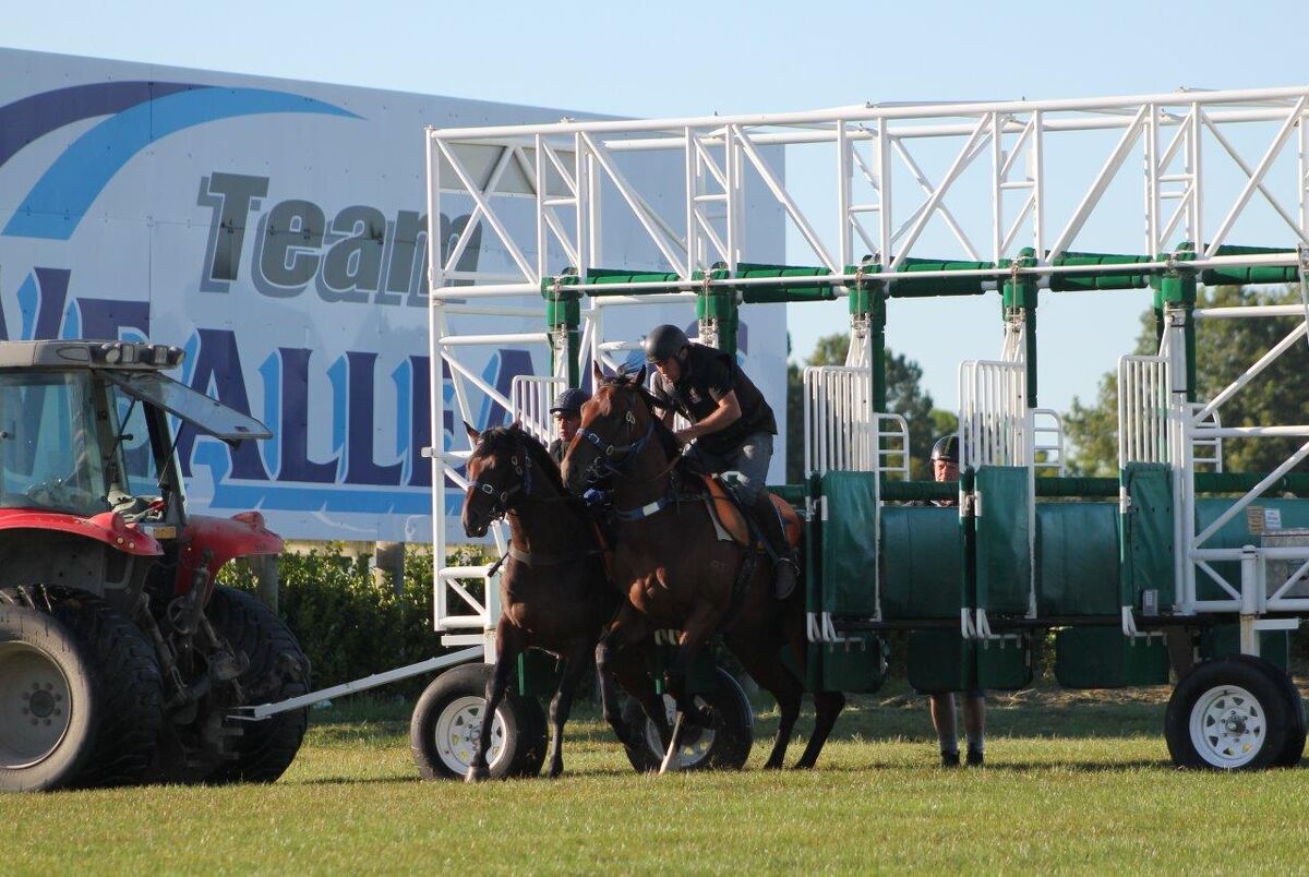 Te Akau Thursday Trackwork