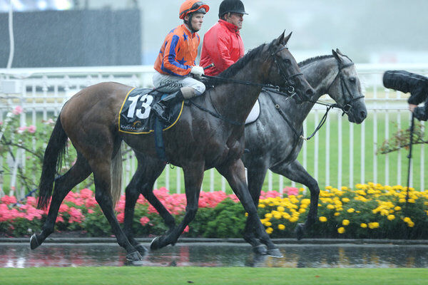 TAB Bookies under Spell