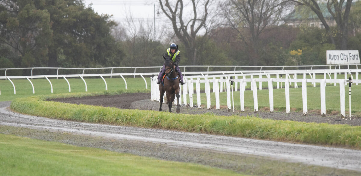 Te Akau Thursday Trackwork
