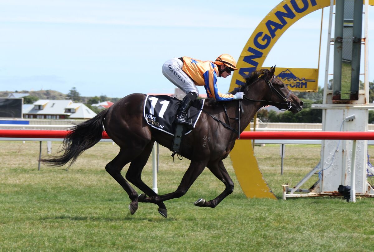 Bolli Belle Boom on Debut