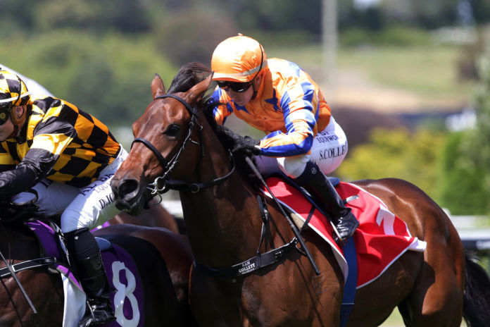 Te Akau Looking to Extend Karaka Million Run