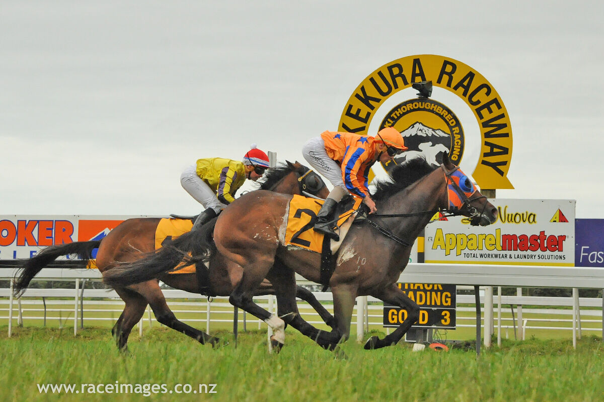 Te Akau Taranaki Preview