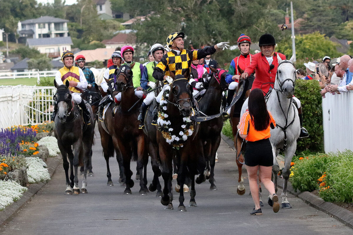 Probabeel Wins Karaka Million 3YO - Makes History