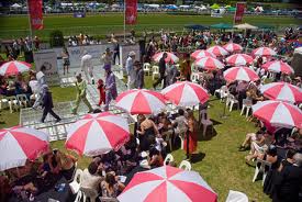 Te Akau Thursday Update