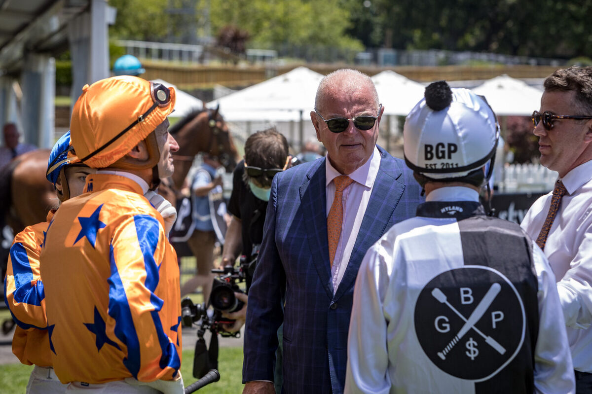 Another Big Boxing Day for Te Akau