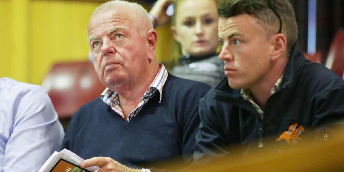 Ellis Buoyed by Yearling Interest