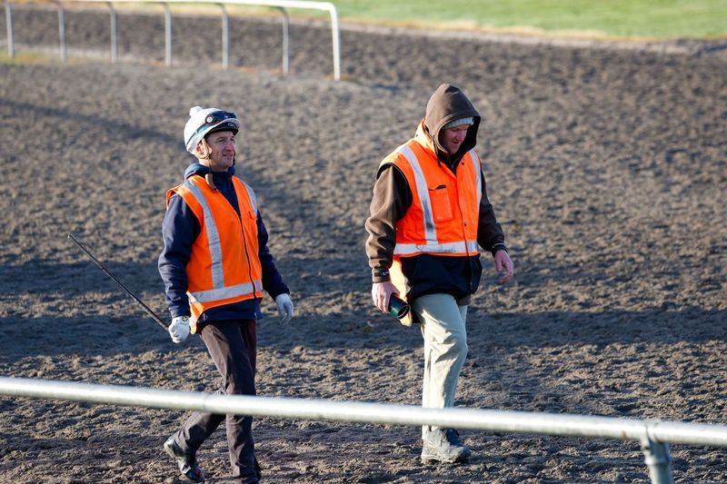 Te Akau Trans Tasman Saturday Trackwork