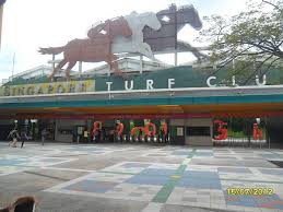 Te Akau Singapore Sunday Preview