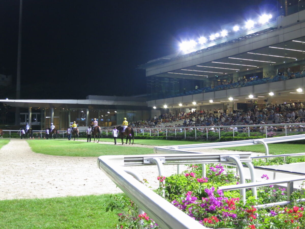 Te Akau Singapore Friday Preview