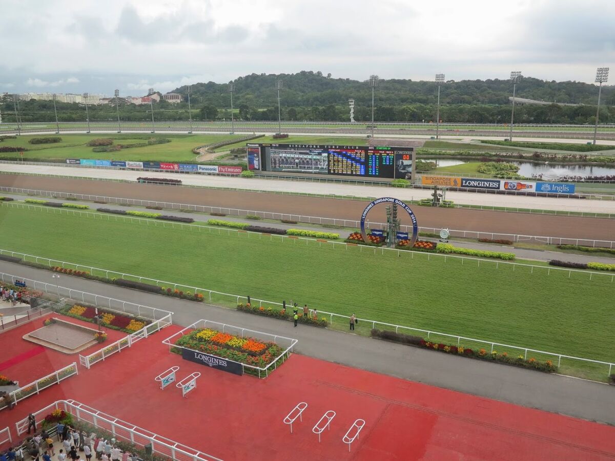 Te Akau Singapore Trackwork Update