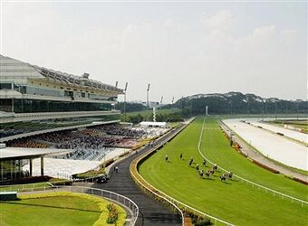 Te Akau Singapore Sunday Preview