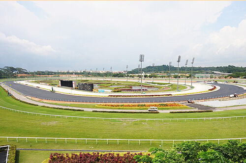 Te Akau Singapore Sunday Preview
