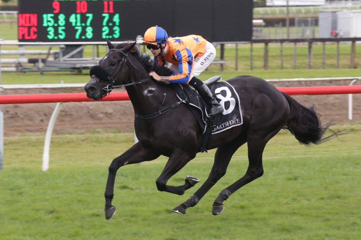 4 Win Saturday - Brando Group 2 Boom