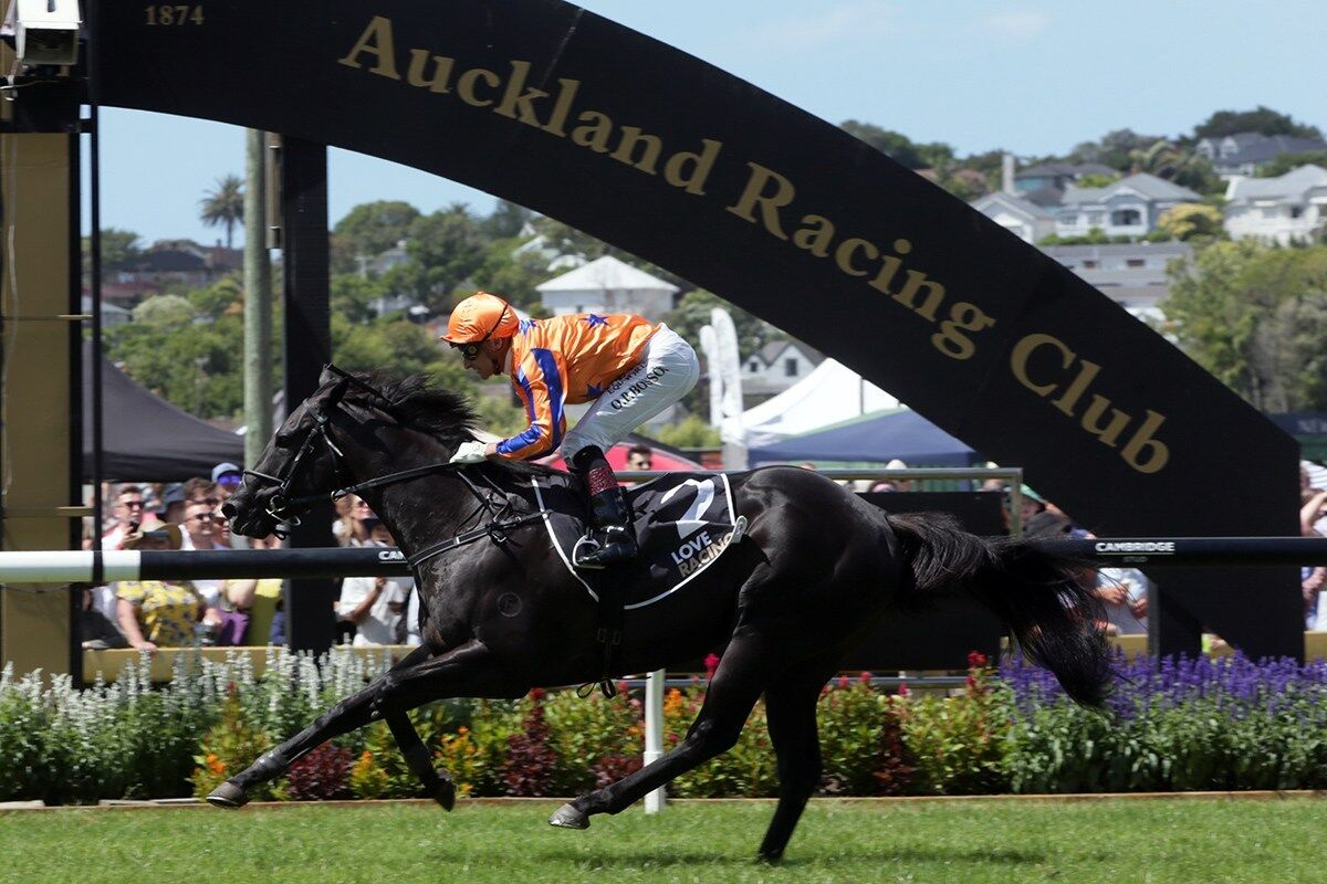 Trans Tasman Weekend for Richards