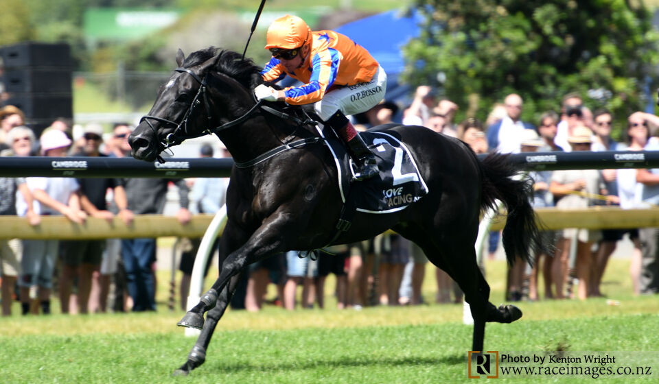 Te Akau TV - G1 Weekend Preview