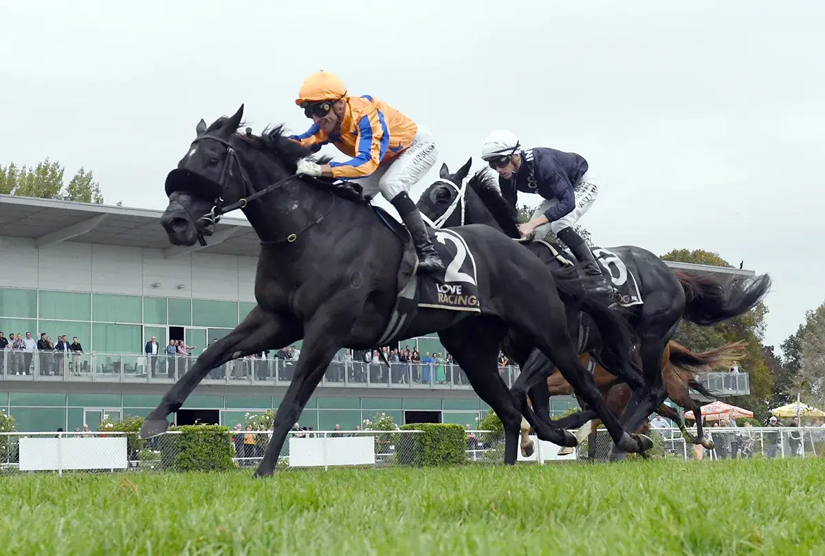 Te Akau Monday Update